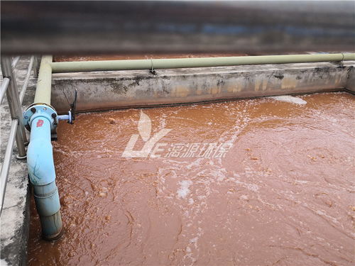 新建食品厂生产项目如何通过优化污水处理设施与声测管应用降低废水处理成本